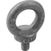 KIPP Eye Bolt With Shoulder, M12, 20.5 mm Shank, 30 mm ID, Steel, Bright K0767.12